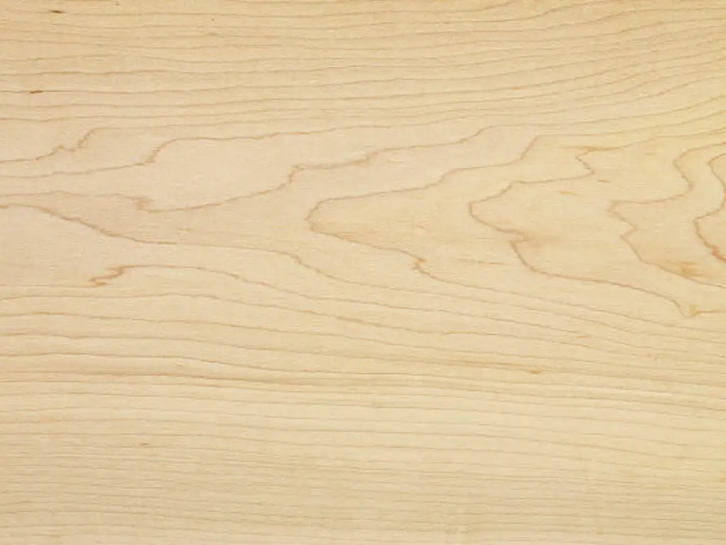 maple