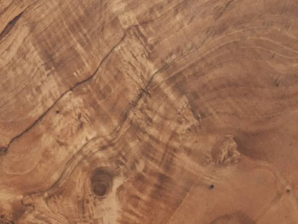 teak